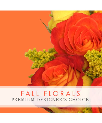 FALL BEAUTY PREMIUM DESIGNER'S CHOICE