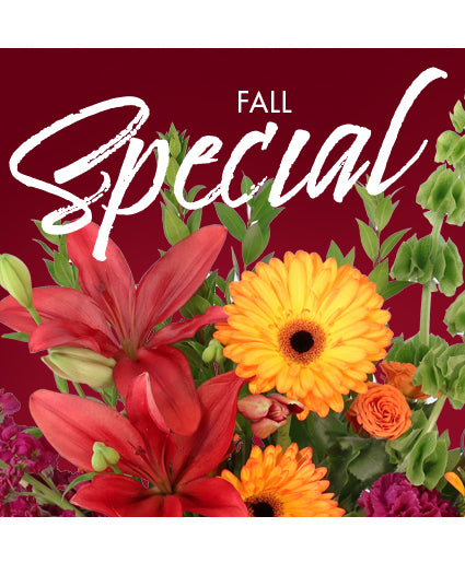 FALL SPECIAL DESIGNER'S CHOICE