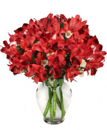 PASSIONATE PERUVIAN LILY BOUQUET