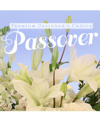 PASSOVER PREMIUM DESIGNER'S CHOICE