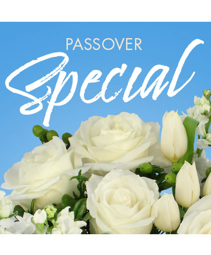 PASSOVER SPECIAL DESIGNER'S CHOICE