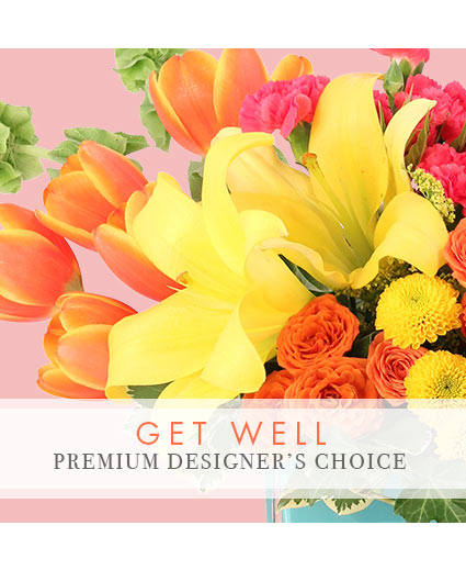 PREMIUM GET WELL FLORALS DESIGNER'S CHOICE