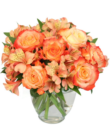 AMBROSIA ROSES BOUQUET