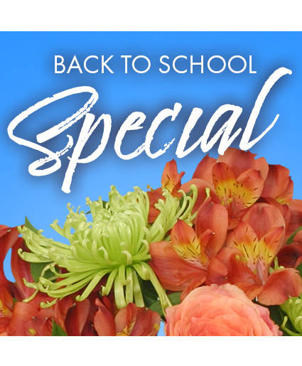 BACK TO SCHOOL SPECIAL DESIGNER'S CHOICE