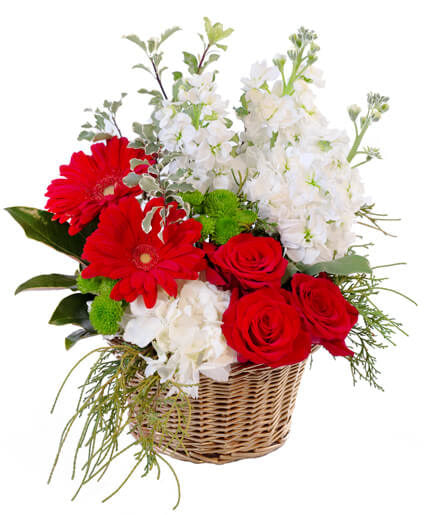 CRIMSON & IVORY BASKET ARRANGEMENT