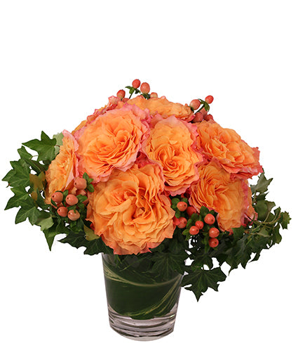 FLIRTY FREE SPIRIT ROSE ARRANGEMENT