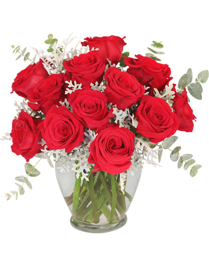 GUILTY PLEASURE DOZEN ROSES