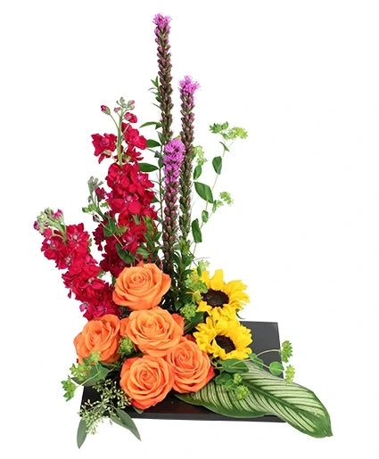 MODERN RADIANCE FLORAL DESIGN