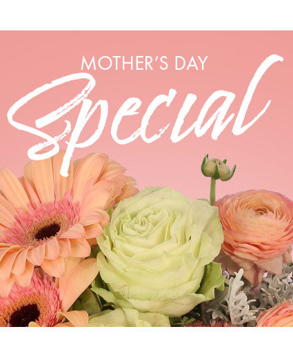 MOTHER'S DAY SPECIAL DESIGNER'S CHOICE