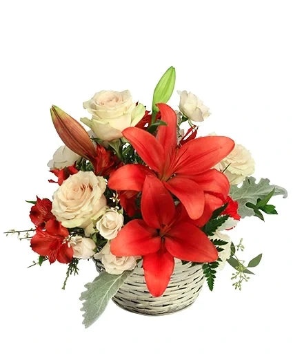 SERENE SCARLET & IVORY BASKET ARRANGEMENT