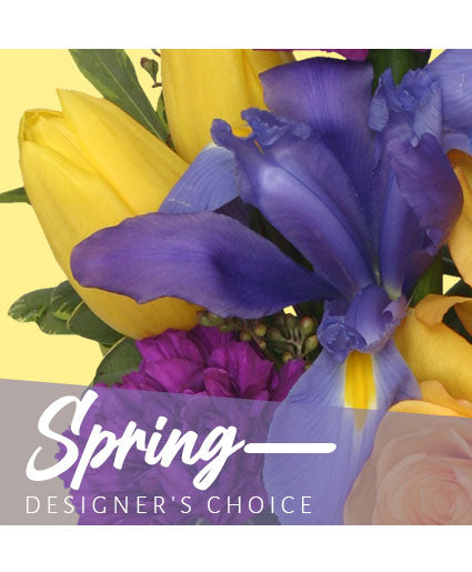 SPRING DESIGNER'S CHOICE