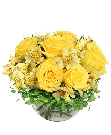 SWEET LEMON ROSES ROSE ARRANGEMENT