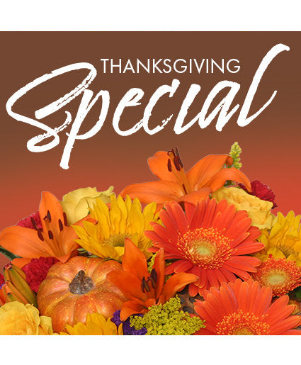 THANKSGIVING SPECIAL DESIGNER'S CHOICE