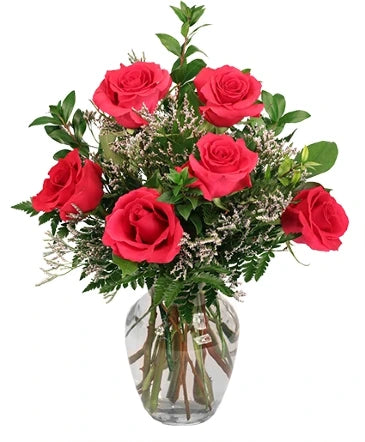 VIBRANT FUCHSIA ROSES ROSE ARRANGEMENT